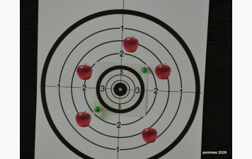 Tir à la pomme à Queven